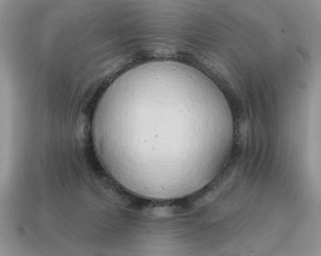 X0000114490228200911091055