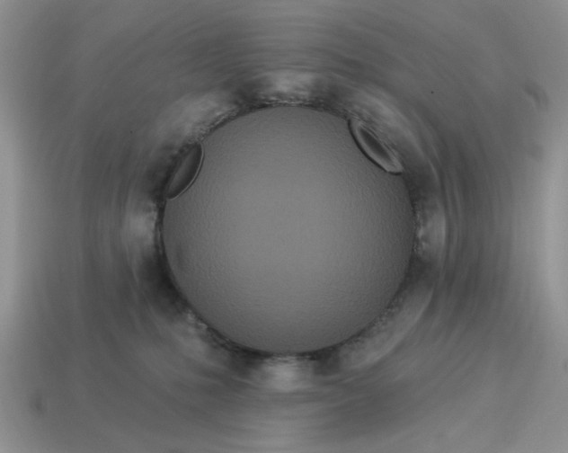 X0000114490231200911091055