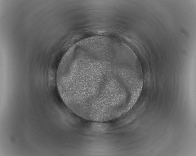 X0000114490234200911091055