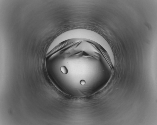 X0000114490235200911091055