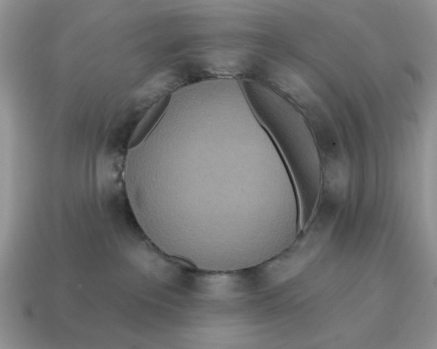 X0000114490237200911091055