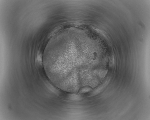 X0000114490238200911091055