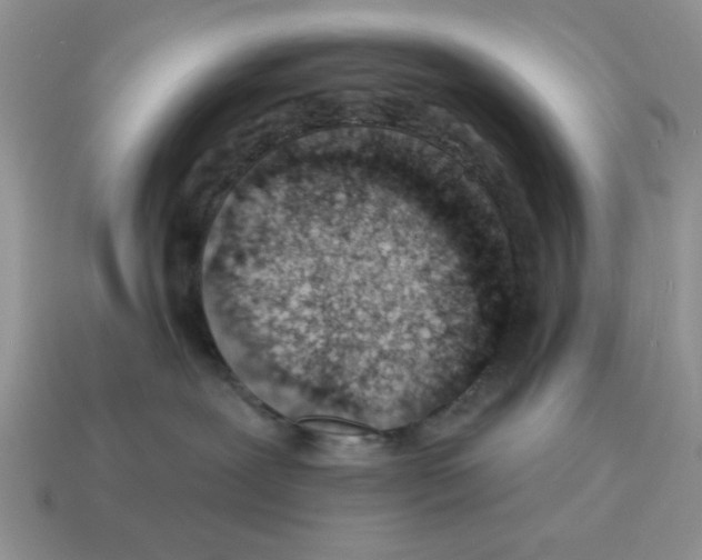 X0000114490239200911091055