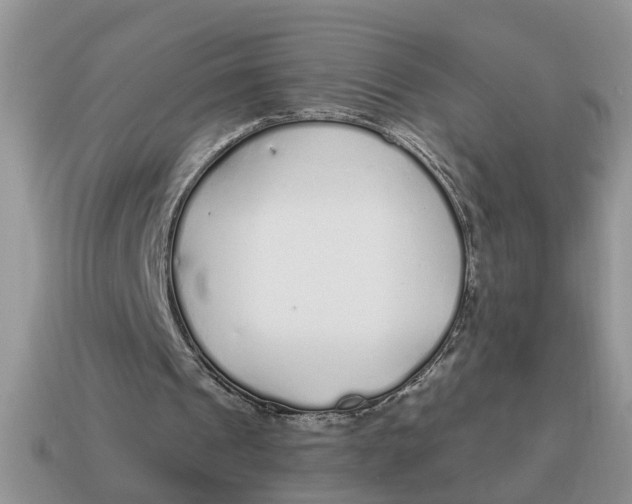 X0000114490241200911091054
