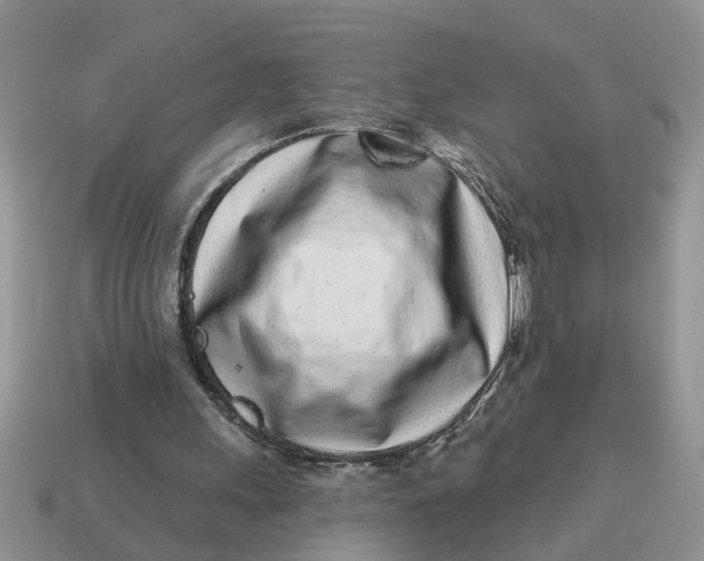 X0000114490243200911091054