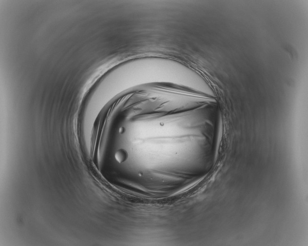 X0000114490244200911091054