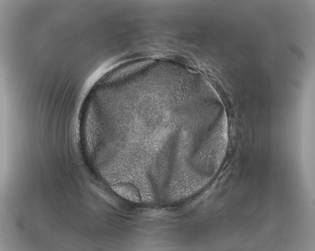 X0000114490246200911091055