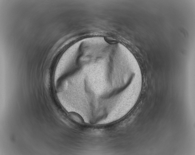 X0000114490247200911091055
