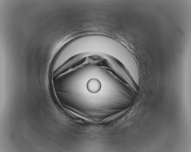 X0000114490248200911091055