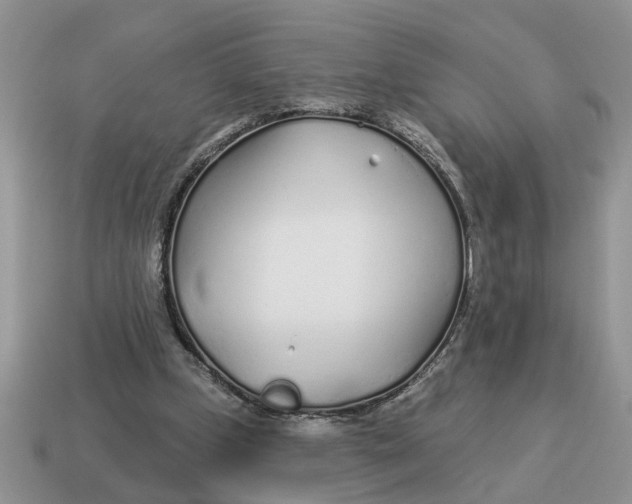 X0000114490249200911091055