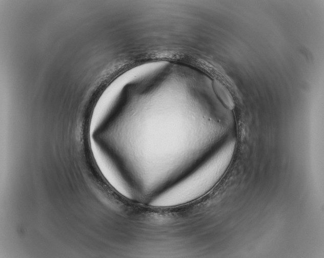X0000114490250200911091055
