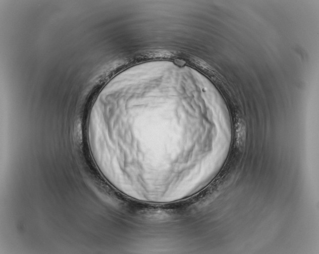 X0000114490254200911091055