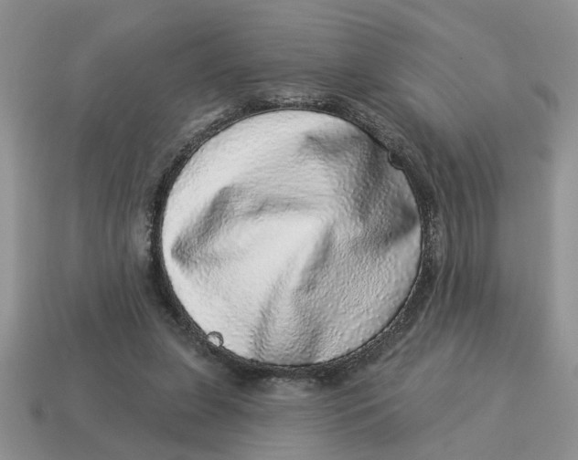 X0000114490255200911091055