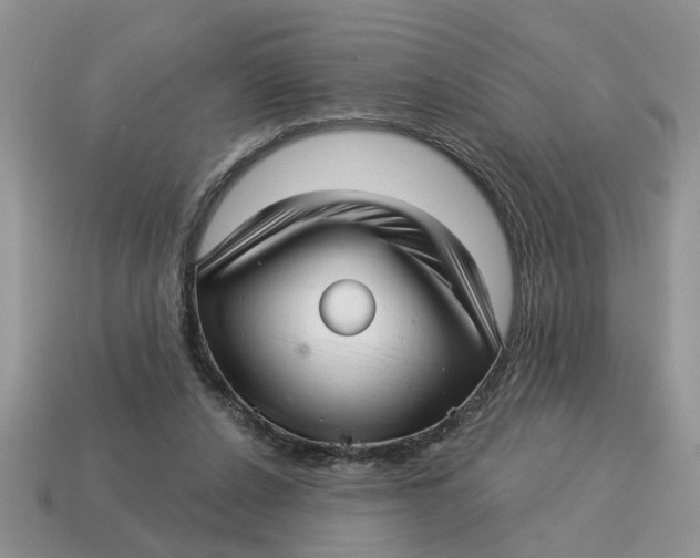 X0000114490256200911091055