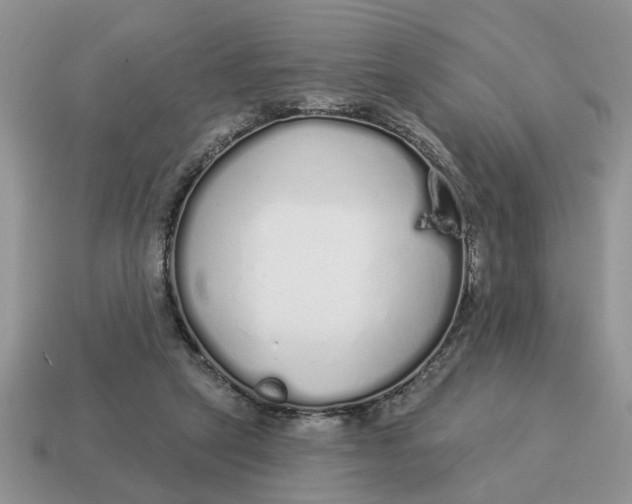 X0000114490257200911091055