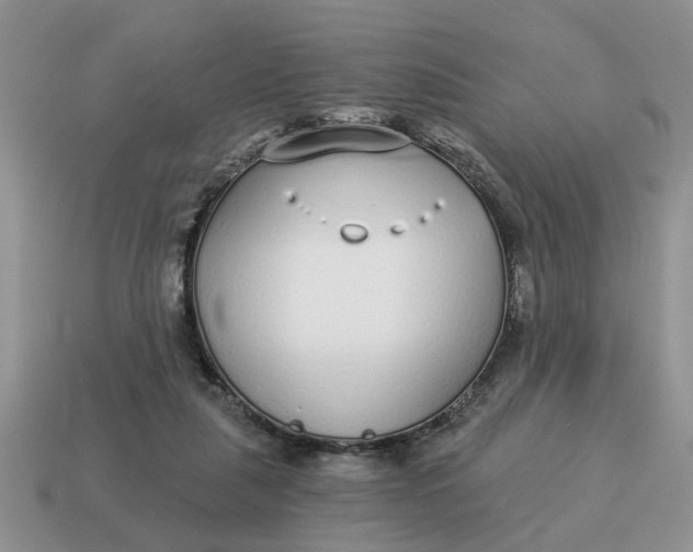 X0000114490259200911091055