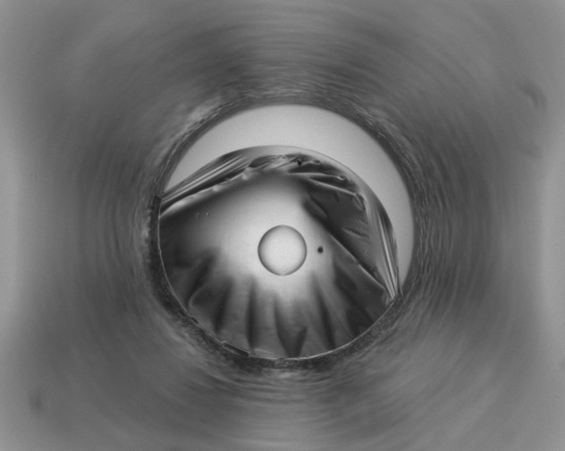 X0000114490260200911091055