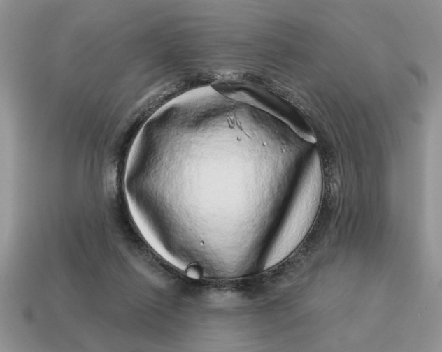 X0000114490262200911091055