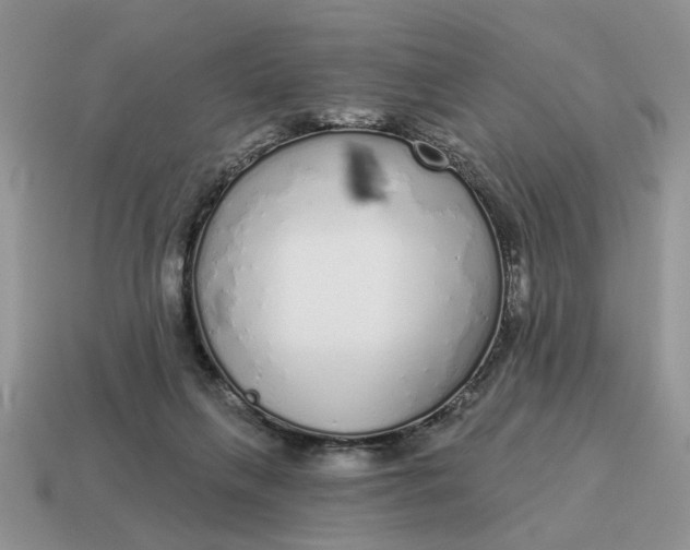 X0000114490263200911091055