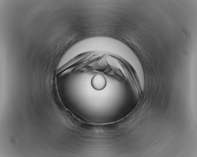 X0000114490264200911091055