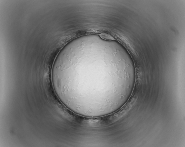 X0000114490265200911091055