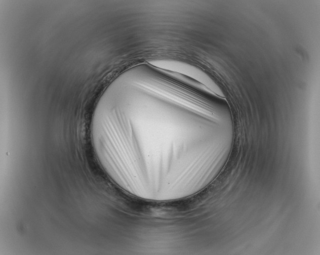 X0000114490268200911091055