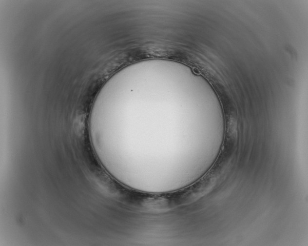 X0000114490271200911091055