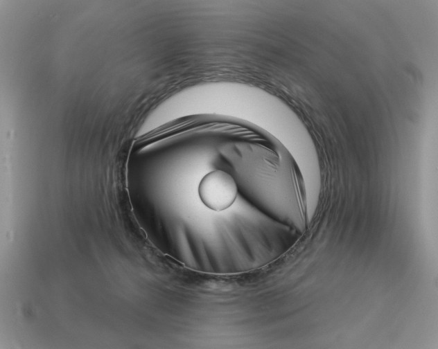 X0000114490272200911091055