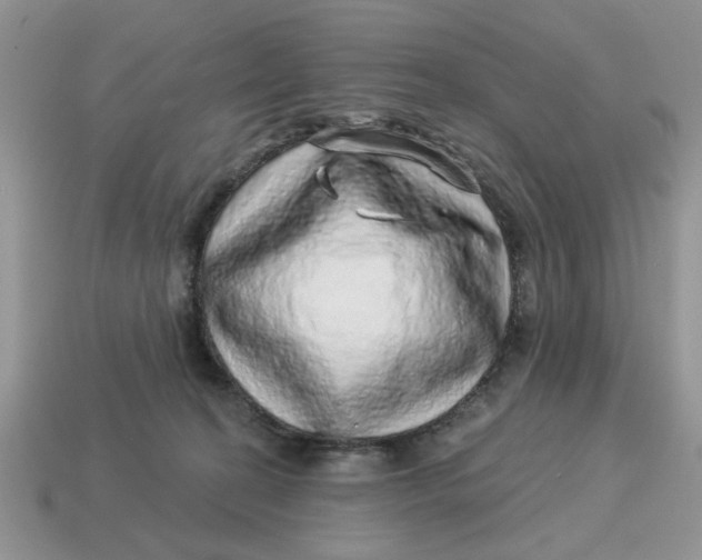 X0000114490274200911091055