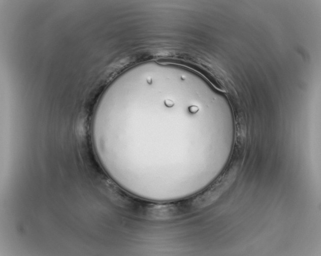 X0000114490277200911091055