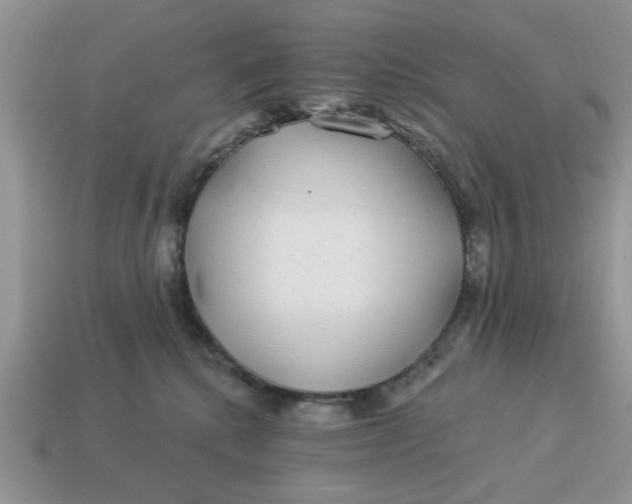 X0000114490280200911091055