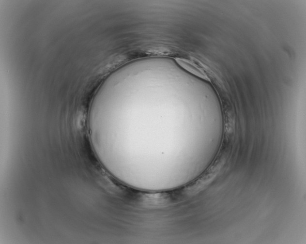 X0000114490281200911091055