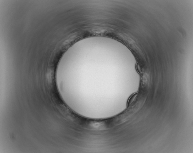 X0000114490283200911091055