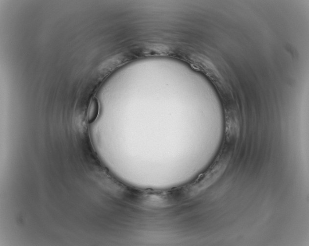 X0000114490285200911091055