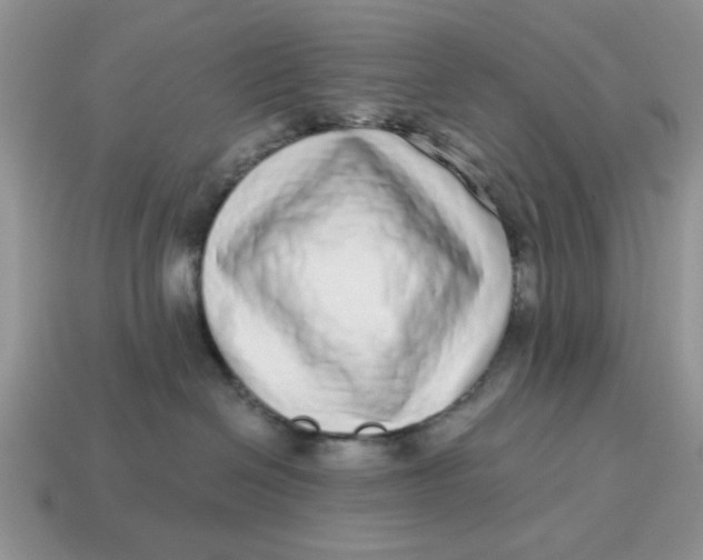 X0000114490286200911091055