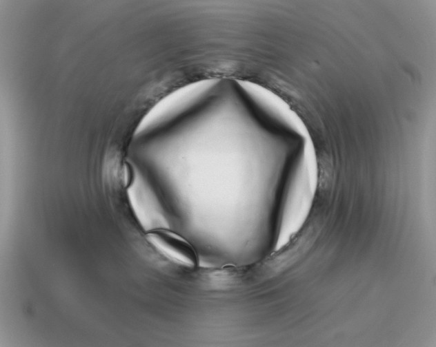 X0000114490287200911091055