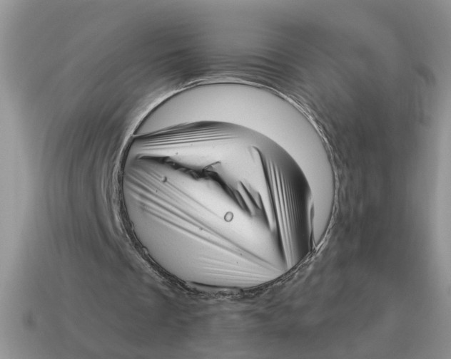 X0000114490289200911091054