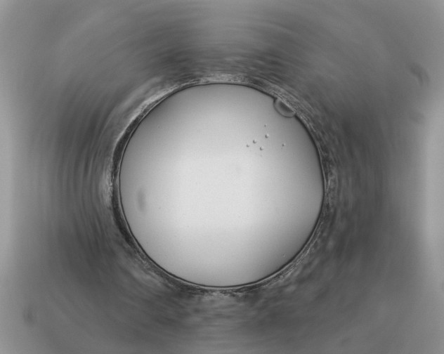 X0000114490290200911091054