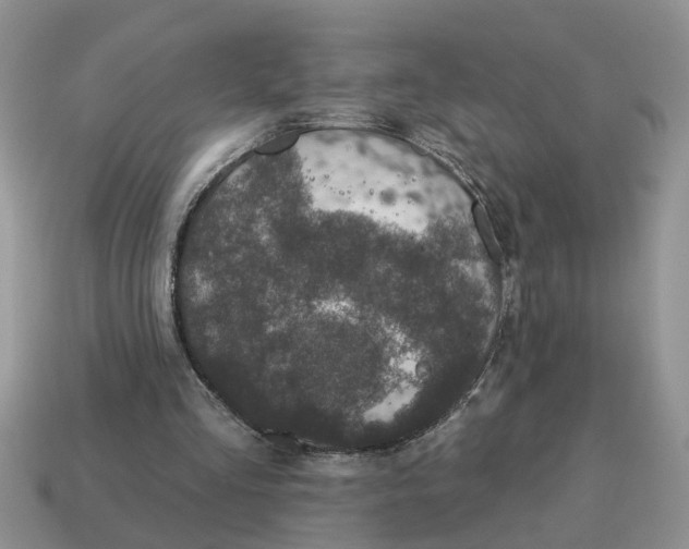 X0000114490293200911091054