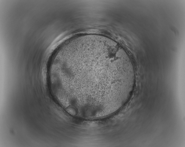 X0000114490295200911091054