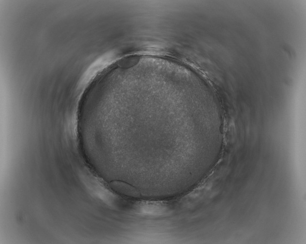 X0000114490296200911091054