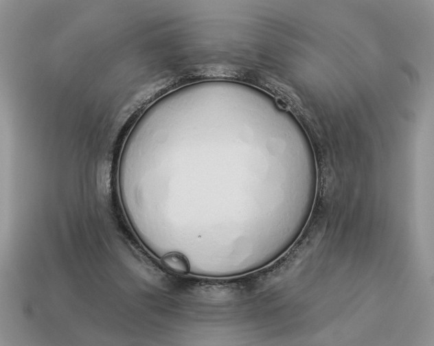 X0000114490299200911091054