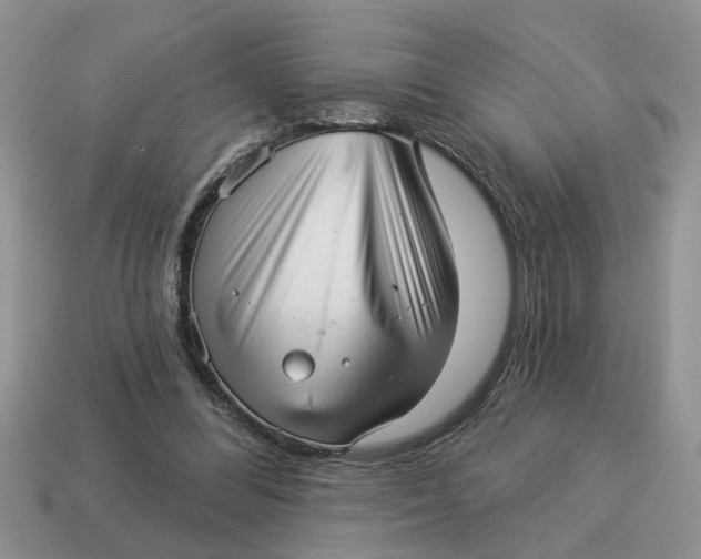X0000114490300200911091054
