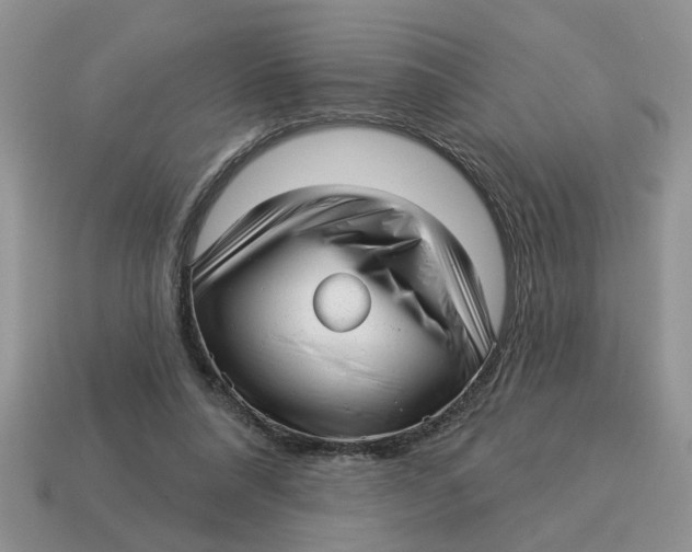X0000114490304200911091054