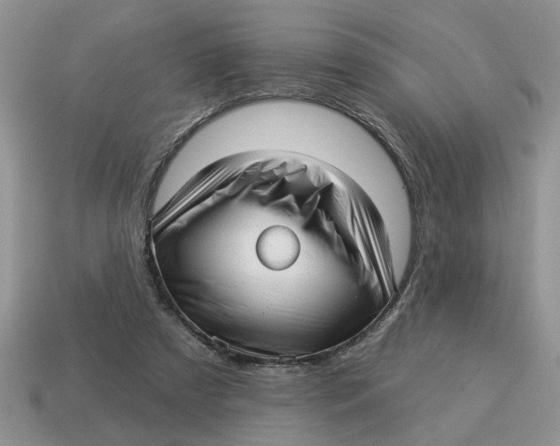 X0000114490305200911091054