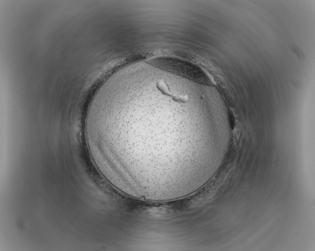 X0000114490306200911091054