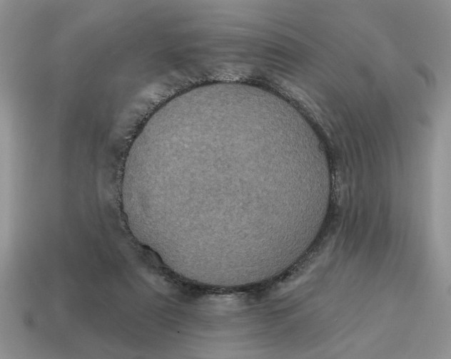 X0000114490307200911091054