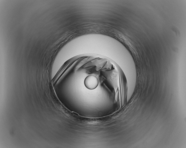 X0000114490313200911091054