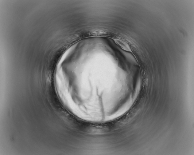 X0000114490315200911091054
