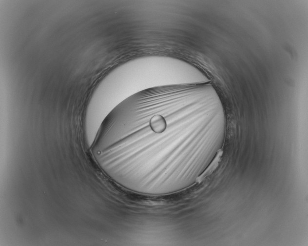 X0000114490317200911091054
